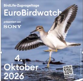 Birdwatch