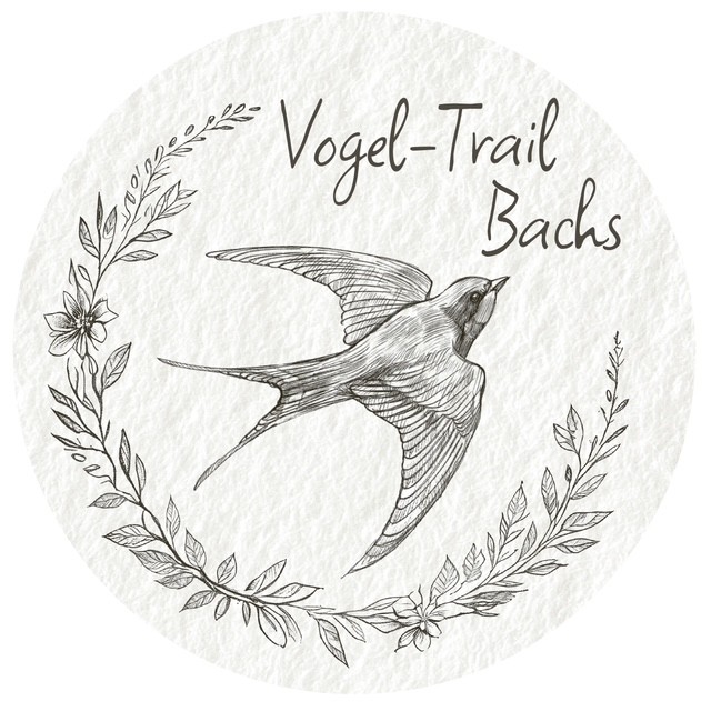 Logo VTB
